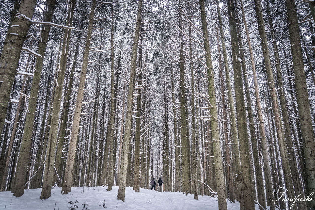 岩見沢市のスキーハイキング専門店『well-tuned』presents... 
